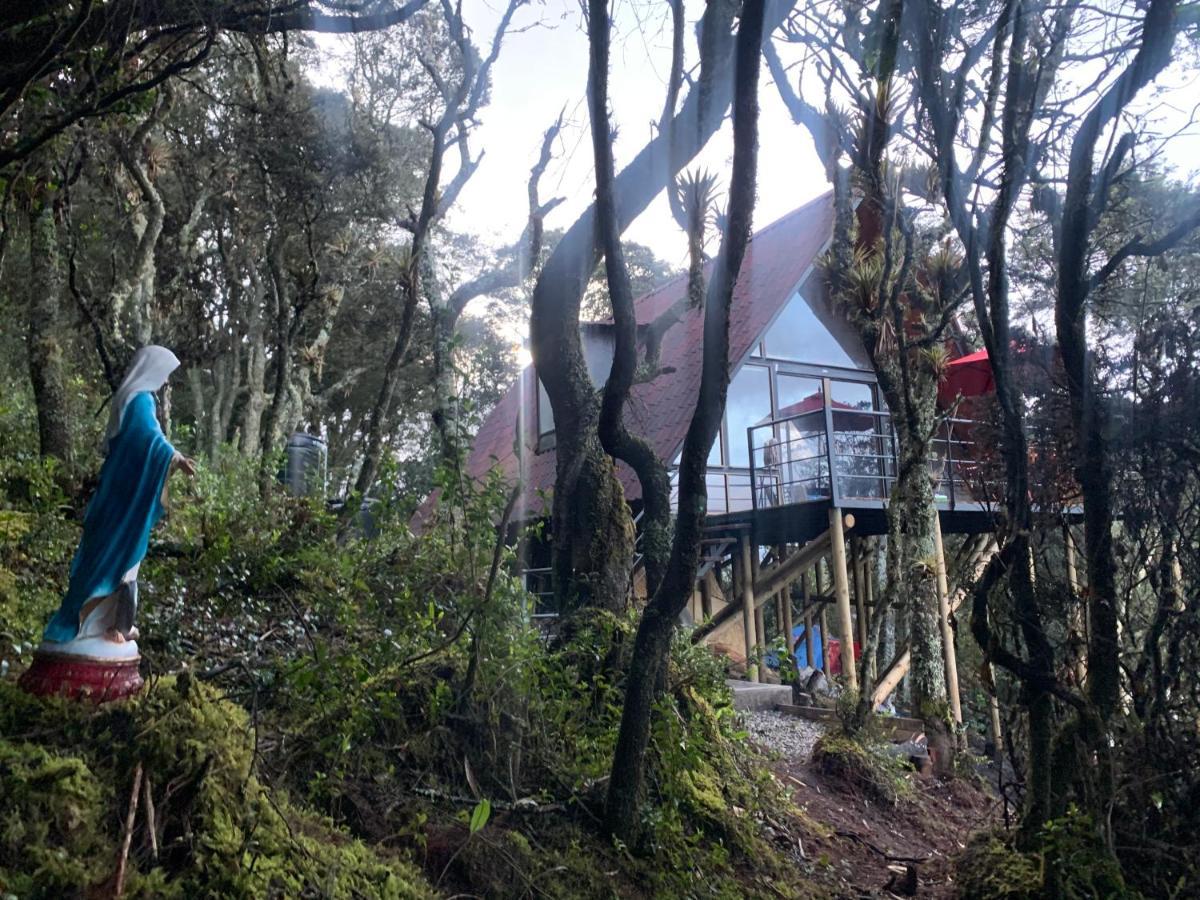 Mirador Bosque Gran Torino Neusa Cogua Dış mekan fotoğraf