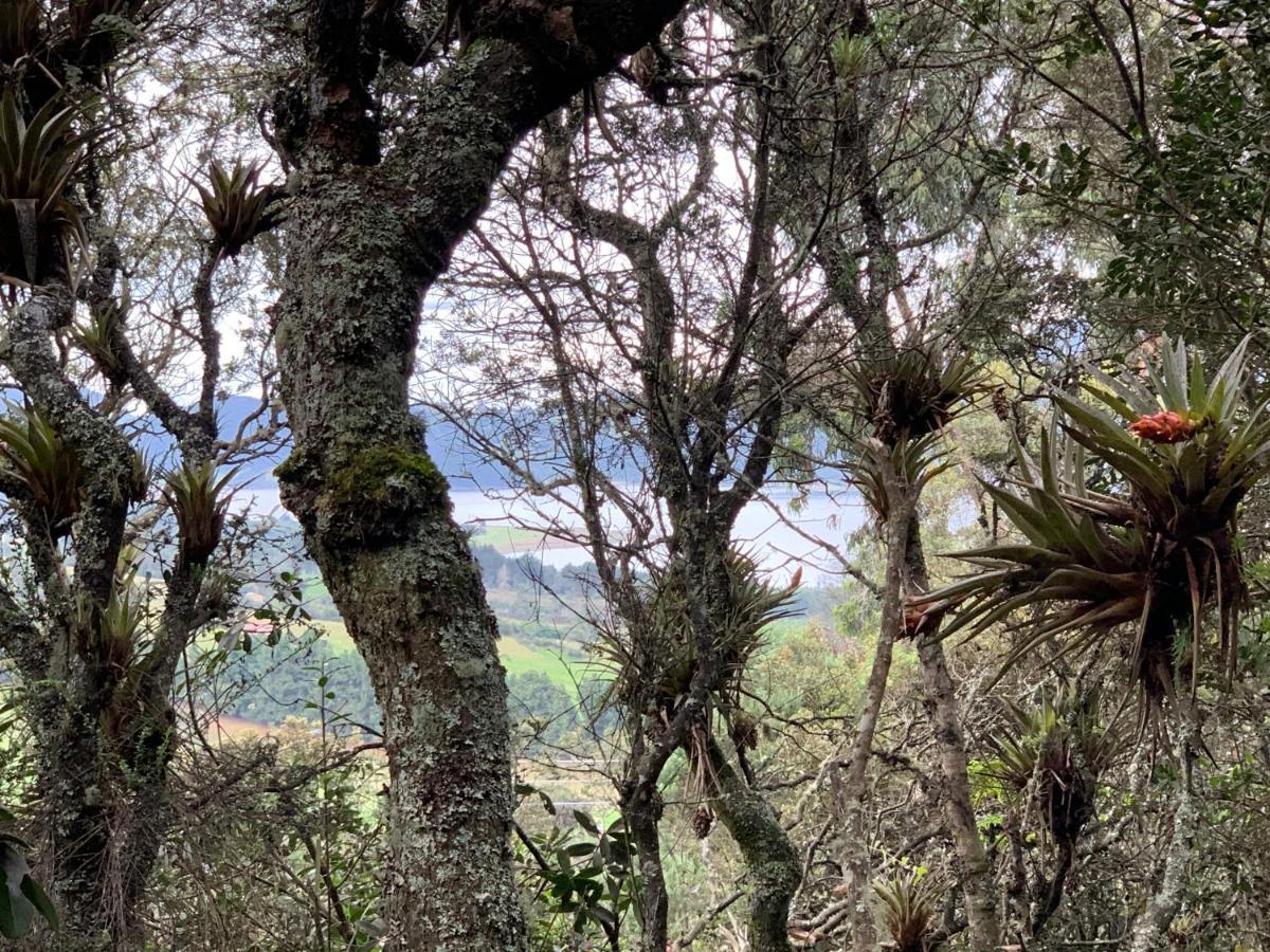 Mirador Bosque Gran Torino Neusa Cogua Dış mekan fotoğraf