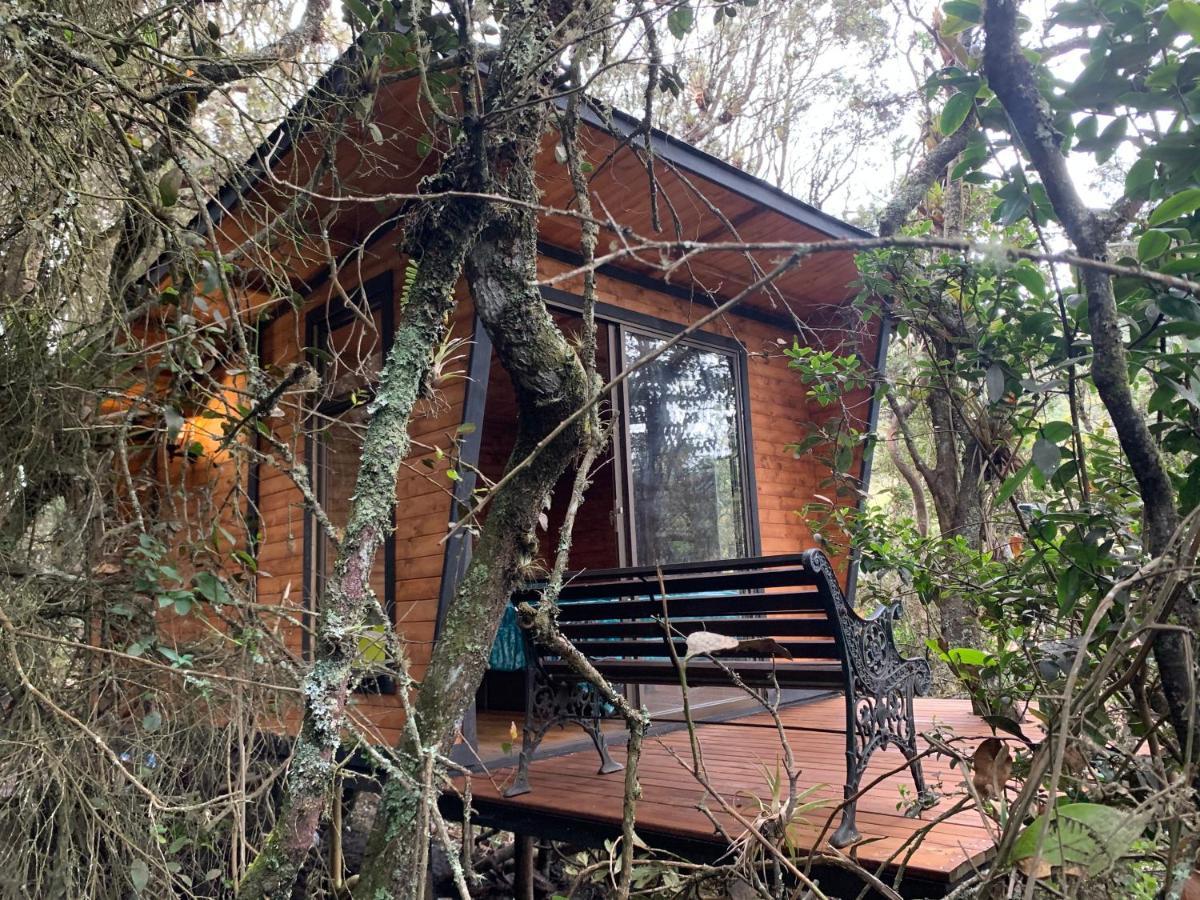 Mirador Bosque Gran Torino Neusa Cogua Dış mekan fotoğraf