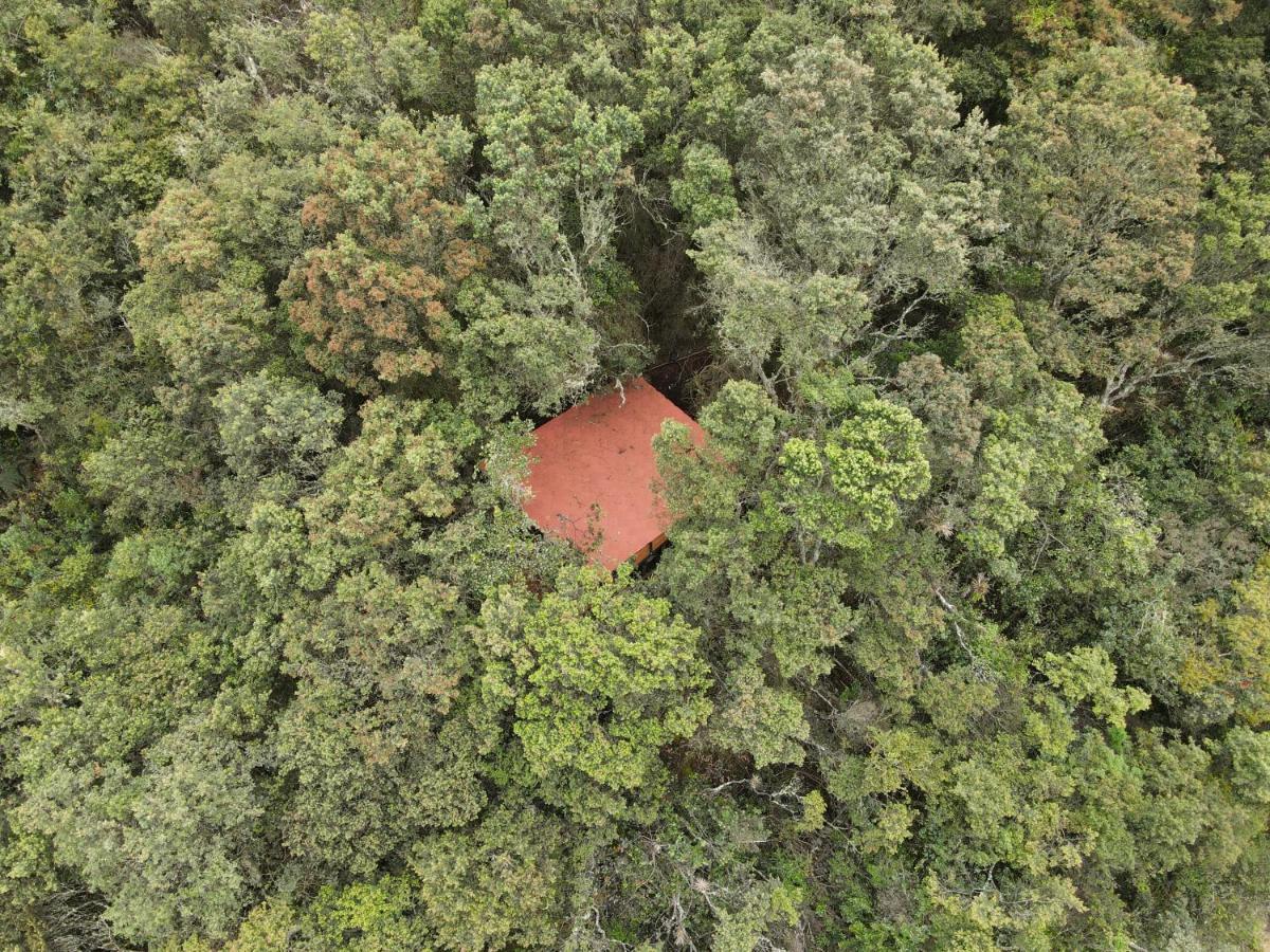 Mirador Bosque Gran Torino Neusa Cogua Dış mekan fotoğraf