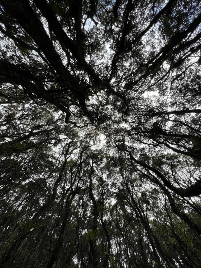 Mirador Bosque Gran Torino Neusa Cogua Dış mekan fotoğraf